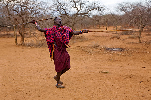 Young masai warrior throwing spear.  masai warrior stock pictures, royalty-free photos & images