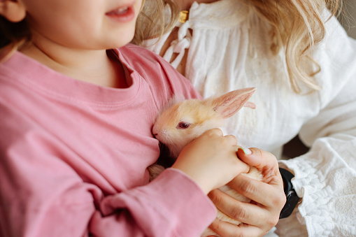 Shot of a mother and daughter hugging their pet rabbit at home. Young mother holding furry cute baby pet rabbit showing it to her toddler daughter indoors.