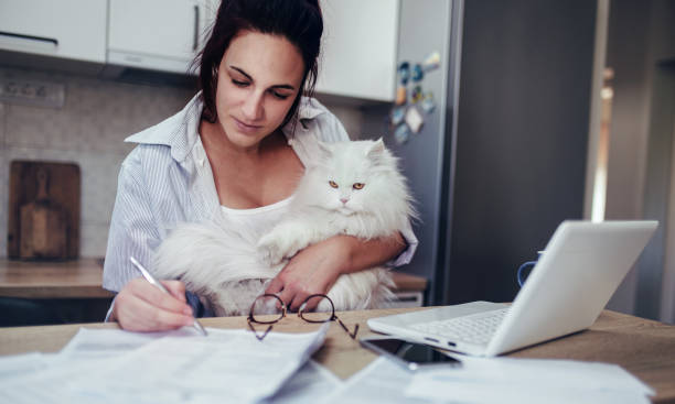Young mother looking at the home budget. stock photo