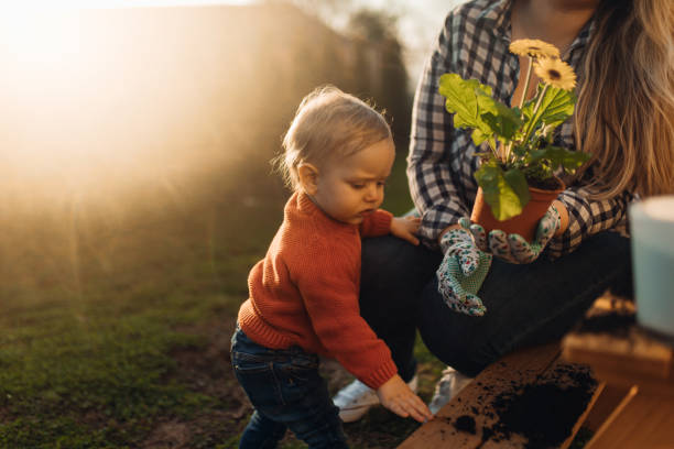 young mother plants flowers with her children in the garden stock photo