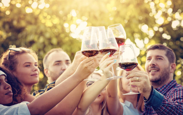 Young multi-ethnic friends having fun in a vineyard tour - Outdoar Hand Toasting of red wine before the sunset in autumn during the harvest time stock photo
