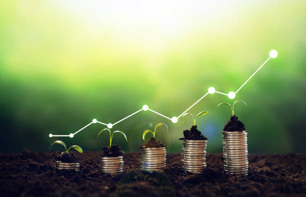 Young plants on coin stacks  increase.Growing money,finance and investment.Concept of business growth,profit, development and success. stock photo