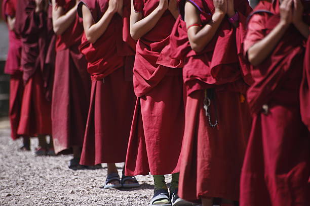 Young Tibetan monks stock photo
