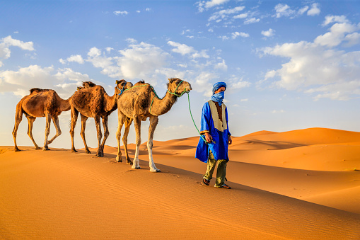 Dubai Hatta heritage village - Camel's face detail. Camel is derived from the Arabian word 'Jamal'.