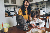 istock Young woman and little boy feeding cat 1083879592