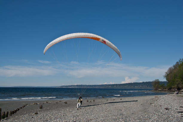Paraglider Landing on a Beach Seattle, Washington, USA - April 13, 2012: A young woman brings her paraglider in for a landing on the beach at Golden Gardens Park. jeff goulden paragliding stock pictures, royalty-free photos & images