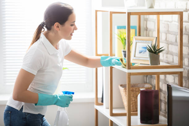 Young Woman Cleaning The Shelf In House Young Woman Cleaning The Wooden Shelf In Living Room housework stock pictures, royalty-free photos & images