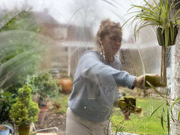 Young woman cleaning window stock photo