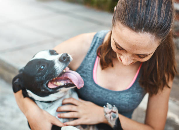 Young woman cuddles her happy pet dog A beautiful young woman sits outside holding her happy dog on her lap and smiling as she tickles it. tickling beautiful women pictures stock pictures, royalty-free photos & images