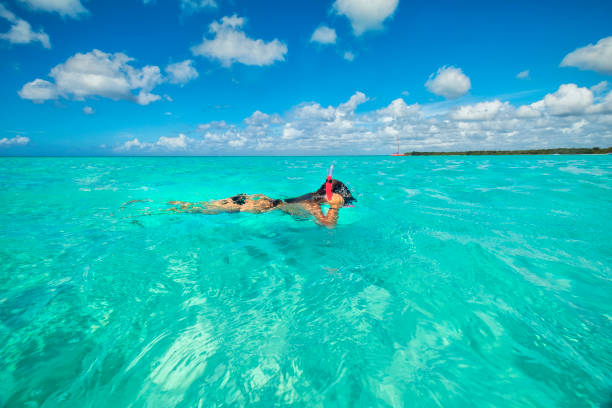 다이빙을하는 젊은 여자 - 카리브해에서 스노클링 - martinelli 뉴스 사진 이미지