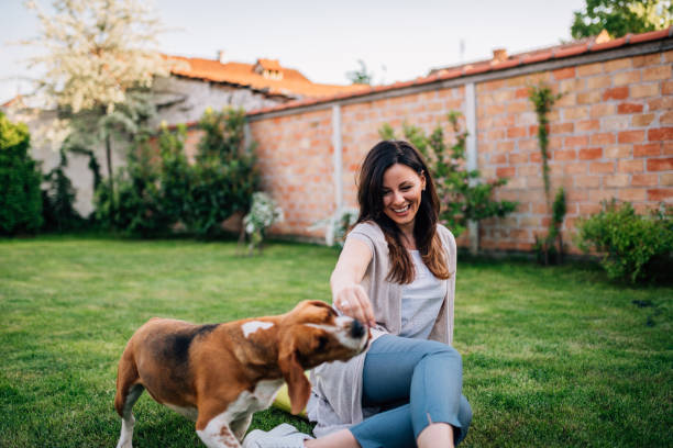 mujer joven disfrutar de pasar tiempo con su perro en el patio trasero. - candy canes fotografías e imágenes de stock