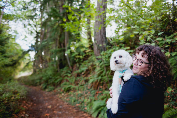 Young Woman Enjoying Outdoor Nature Park with Her Dog stock photo