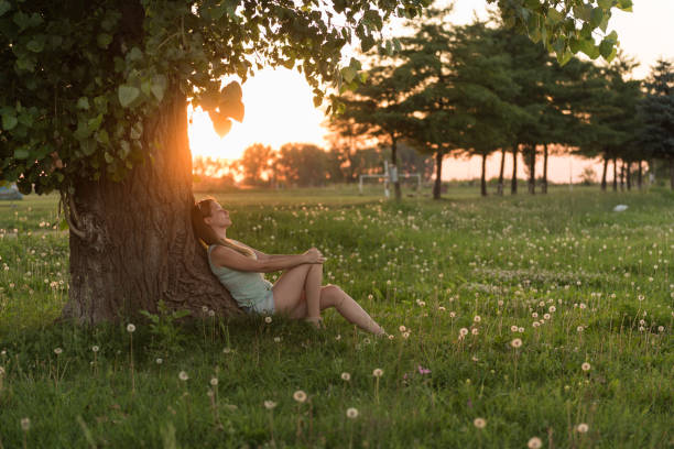 giovane donna che si gode il tramonto sotto l'albero - kostic foto e immagini stock