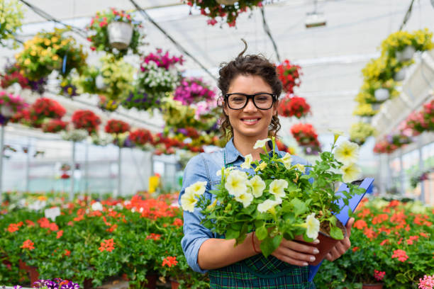 Young woman entrepreneur working in flower garden Young woman entrepreneur working in flower garden garden center stock pictures, royalty-free photos & images