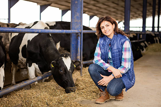 Young Woman Farmer Young farmer posing in animal farm female animal stock pictures, royalty-free photos & images