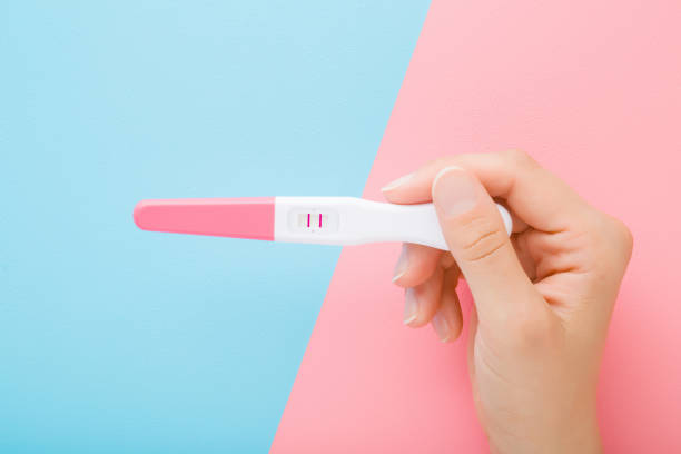 Young woman hand holding pregnancy test with two stripes on light pink blue table background. Pastel color. Two sides. Positive result. Closeup. Point of view shot. Top down view. Young woman hand holding pregnancy test with two stripes on light pink blue table background. Pastel color. Two sides. Positive result. Closeup. Point of view shot. Top down view. positive pregnancy test stock pictures, royalty-free photos & images