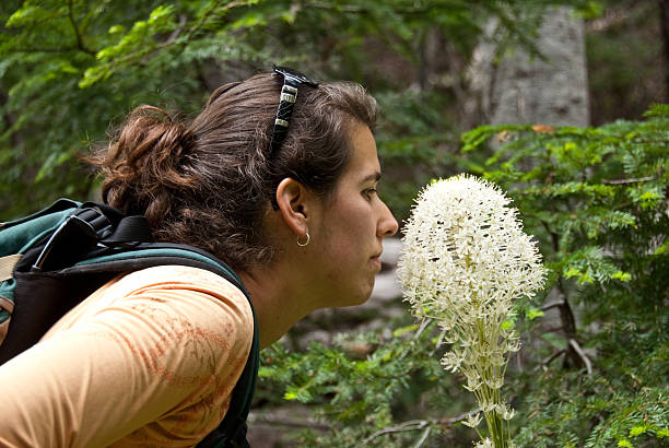 Young Woman Hiker Sniffing a Beargrass Blossom This young woman hiker is sniffing a beargrass blossom on the Glacier Basin Trail in Mount Rainier National Park, Washington State, USA. jeff goulden mount rainier national park stock pictures, royalty-free photos & images