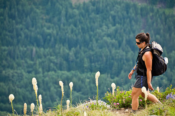 Young Woman Hiking in an Alpine Meadow This young woman is hiking through an alpine meadow on Granite Mountain in the Alpine Lakes Wilderness, Washington State, USA. jeff goulden alpine lakes wilderness stock pictures, royalty-free photos & images