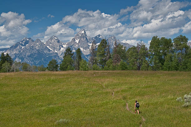 Young Woman Hiking in the Gros Ventre Range Across the valley from the Tetons is the Gros Ventre range. In Wyoming they say people come to visit the Tetons and end up falling in love with the Gros Ventres. What these mountains lack in height and rugged grandeur they more than make up for with their gentle beauty and sweeping vistas. Their brightly colored alpine meadows are a joy of sights and smells. This young woman hiker was photographed on the Coyote Rock Trail in Grand Teton National Park near Kelly, Wyoming, USA. jeff goulden grand teton national park stock pictures, royalty-free photos & images