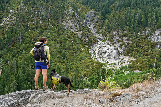 Young Woman Hiking with a Dog The Trinity Alps Wilderness is a 525,627-acre national wilderness in northern California. It is contained within and administered by Shasta-Trinity, Klamath, and Six Rivers National Forests. The wilderness is part of the Salmon and Scott Mountains which are subranges of the Klamath Mountains. The high, granite peaks of the eastern half of the wilderness are known as the Trinity Alps. This young woman and her dog were photograph while hiking the Canyon Creek Trail. Canyon Creek is located in the Trinity Alps near Weaverville, California, USA. jeff goulden domestic animal stock pictures, royalty-free photos & images