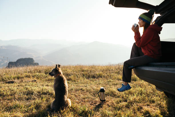 een jonge vrouw in een auto op een achtergrond van bergen zit ontspannen en drinkt hete thee. - adventure woman stockfoto's en -beelden