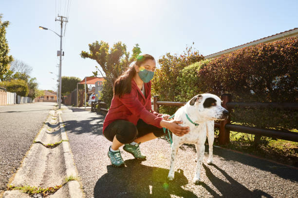Young woman in a face mask petting her dog on a sidewalk Young woman in a protective face mask petting her dog during a walk in the neighborhood in the morning early morning dog walk stock pictures, royalty-free photos & images