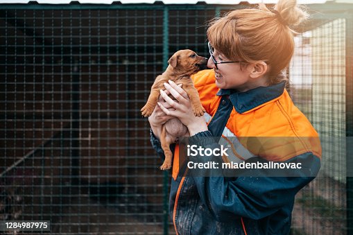 istock Young woman in animal shelter 1284987975