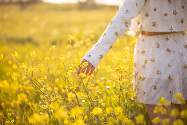 young woman in yellow field stock photo