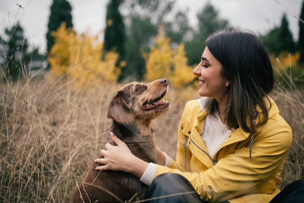 young woman in yellow raincoat enjoying time with her old dog in the forest stock photo