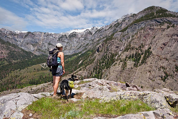 Young Woman Hiking with a Dog A young woman is hiking with her dog along the Hutton Mine Trail in the Uncompahgre National Forest near Ouray, Colorado, USA. jeff goulden domestic animal stock pictures, royalty-free photos & images