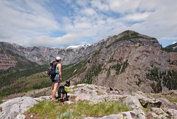 Young Woman Hiking with a Dog A young woman is hiking with her dog along the Hutton Mine Trail in the Uncompahgre National Forest near Ouray, Colorado, USA. jeff goulden san juan mountains stock pictures, royalty-free photos & images