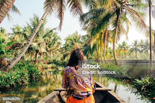 istock Young Woman Kayaking Through the Backwaters of Monroe Island 1031430214