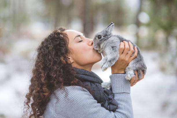 ung kvinna kysser sin kanin på en vandring ute i snön - dwarf rabbit bildbanksfoton och bilder