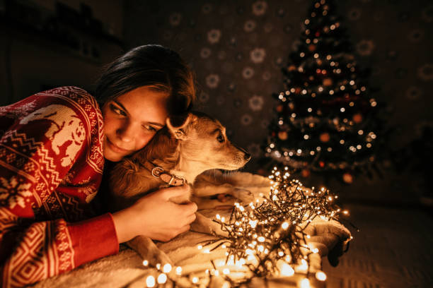 Young woman next to the Christmas tree and hugs her dog on a New year's eve Young woman stands next to the tree and playing with dog on a New year's eve happy new year dog stock pictures, royalty-free photos & images
