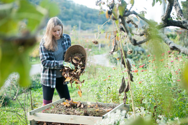 Young Woman Recycling Dried Leaves in the Composter, Slovenia, Europe stock photo