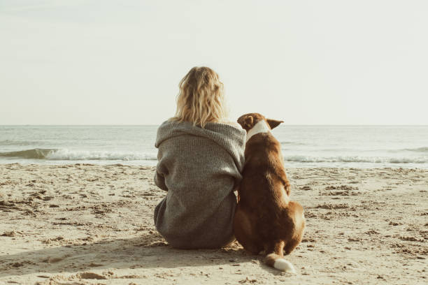Young woman sitting and hugging dog on the beach. Friendship concept - woman and dog sitting together on a beach and enjoying sunrise. Back view colorized image stock photo