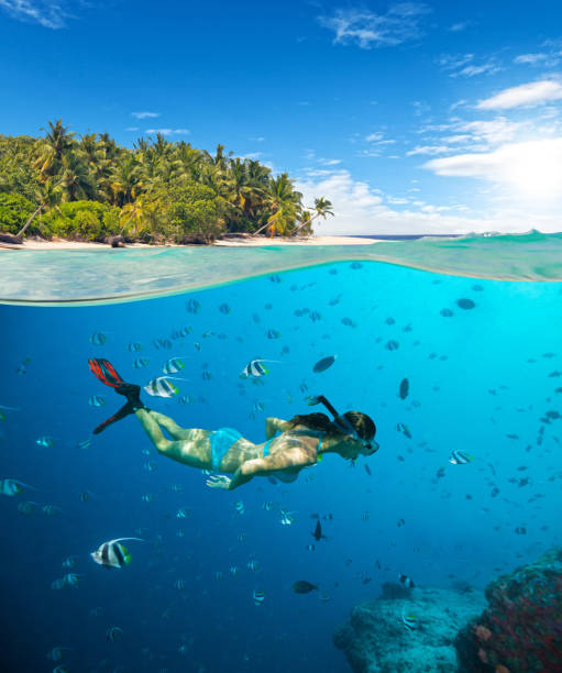 Young woman snorkling on tropical beach Young woman snorkling on tropical beach. Underwater sports and tropical vacation template woman snorkeling stock pictures, royalty-free photos & images