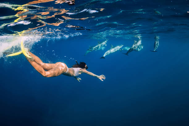 Young woman swim underwater with dolphins in blue ocean. Mauritius Young woman swim underwater with dolphins in blue ocean. Mauritius aqualung diving equipment photos stock pictures, royalty-free photos & images