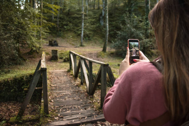 ung kvinna tar en bild av en skog med en smart telefon - fotografi bild bildbanksfoton och bilder