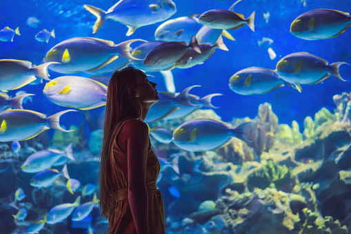 Young woman touches a stingray fish in an oceanarium tunnel.
