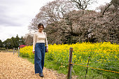 桜と菜種のそばを歩く若い女性