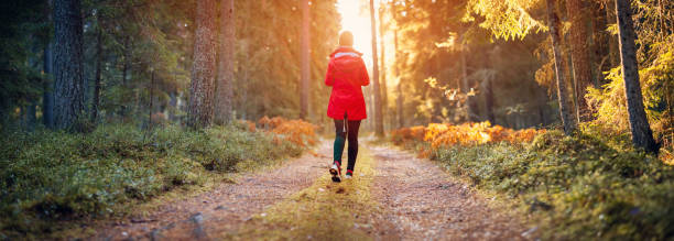 Young woman walking in the autumnal forest in sunrise. stock photo