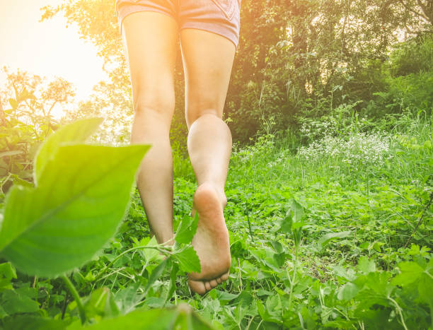 Young woman walks barefoot on grass in meadow. Close-up of young woman's legs. She walks barefoot on grass in meadow at morning in lush green nature. barefoot photos stock pictures, royalty-free photos & images