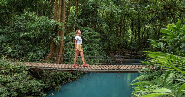 Young woman wandering in tropical rainforest walking on bridge over turquoise lagoon stock photo