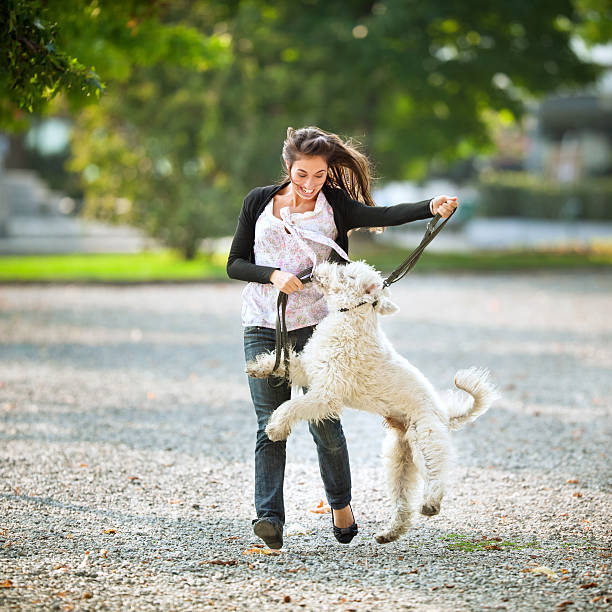 Young woman with her dog Young woman taking her dog for walk in park jumping dog stock pictures, royalty-free photos & images