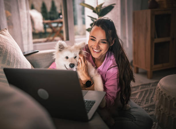 Young woman working from home with her dog stock photo