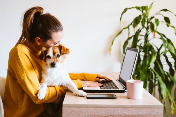 giovane donna che lavora su laptop a casa, simpatico cagnolino oltre. lavorare da casa, stare al sicuro durante il coronavirus covid-2019 concpt - animale domestico foto e immagini stock