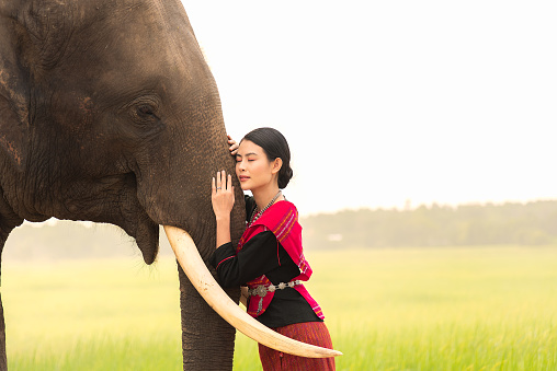 Young women in traditional eastern Thailand dress touching and lean on elephant trunk.