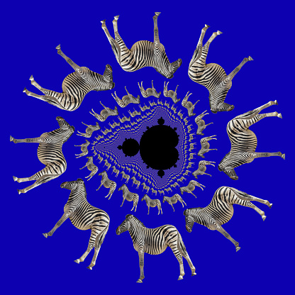 Using decomposition tiling, a photo of a zebra is spun around a Mandelbrot fractal set of points. Each circle contains double the number of zebras of the one above it. Black and white stripes, dark blue background.