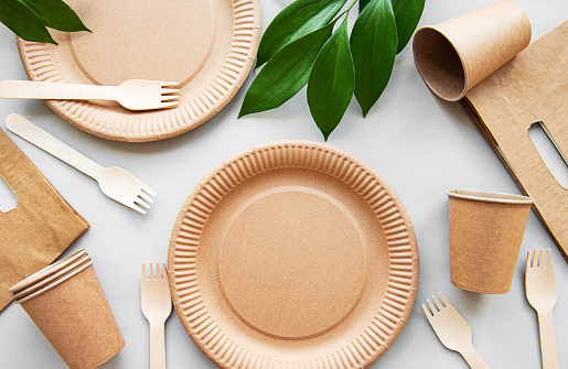Zero waste, environmentally friendly,  disposable,  cardboard, paper tableware. View from the top.